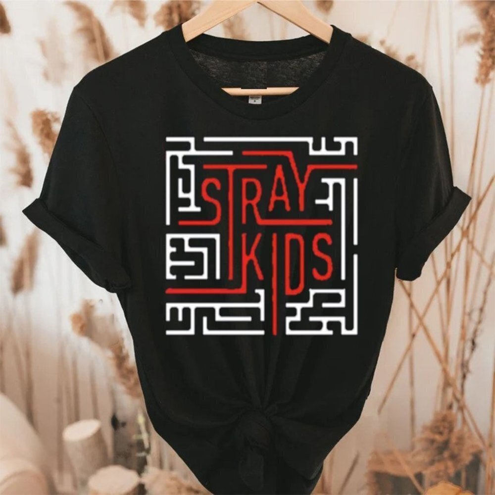 Skz Tshirt Kpop Gift For Fan Tee Shirts Music Fan T Shirt